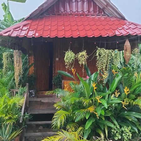 Odambang Village Homestay Battambang Zewnętrze zdjęcie
