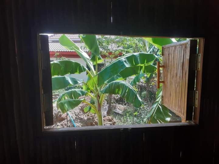 Odambang Village Homestay Battambang Zewnętrze zdjęcie