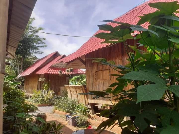 Odambang Village Homestay Battambang Zewnętrze zdjęcie