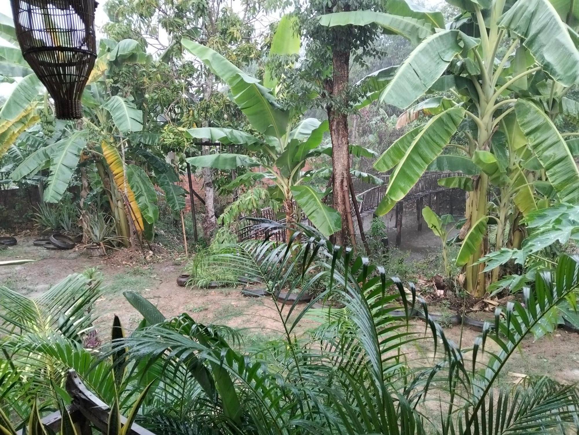 Odambang Village Homestay Battambang Zewnętrze zdjęcie
